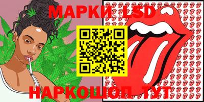 ешки Гай