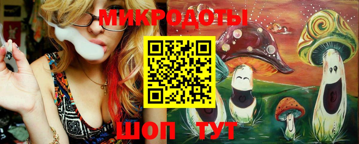 Галлюциногенные грибы Psilocybe Малгобек