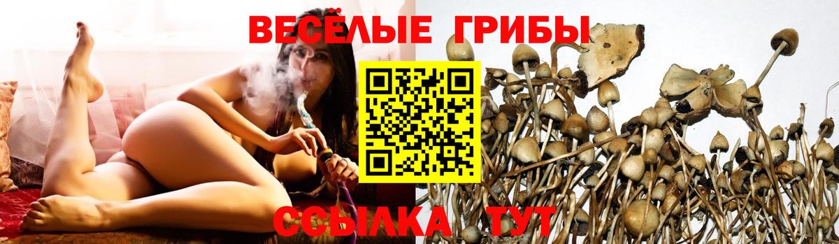 Малгобек  Псилоцибиновые грибы Cubensis  Вход с VPN  Галлюциногенные грибы ЛСД 