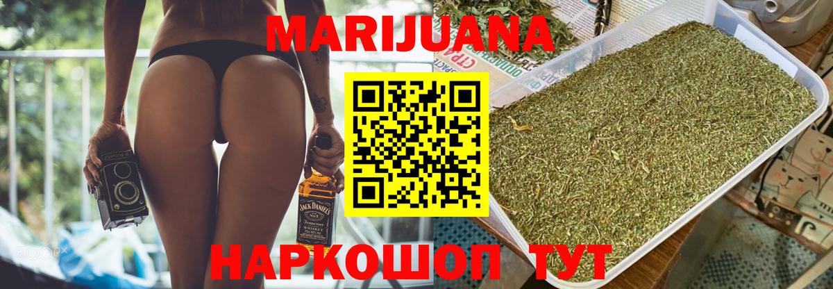 Конопля гибрид Малгобек